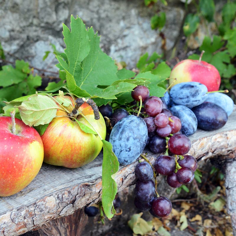 Färsk ekologisk frukt royaltyfri bild