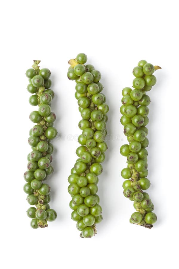 Ny paprika strings unripe arkivfoton