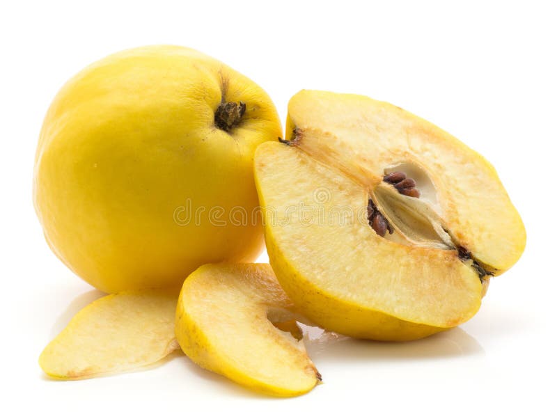 Ny rå kvitten på vit royaltyfri bild