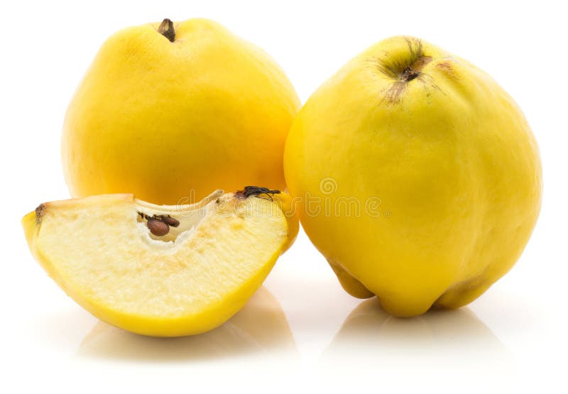 Ny rå kvitten på vit royaltyfria foton