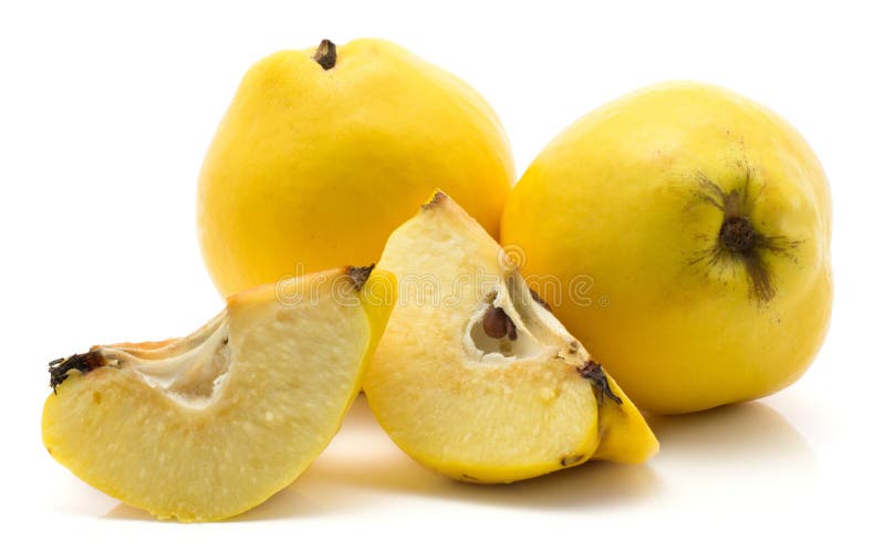 Ny rå kvitten på vit royaltyfri fotografi