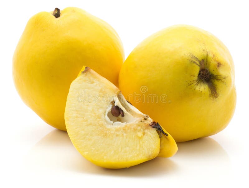 Ny rå kvitten på vit fotografering för bildbyråer