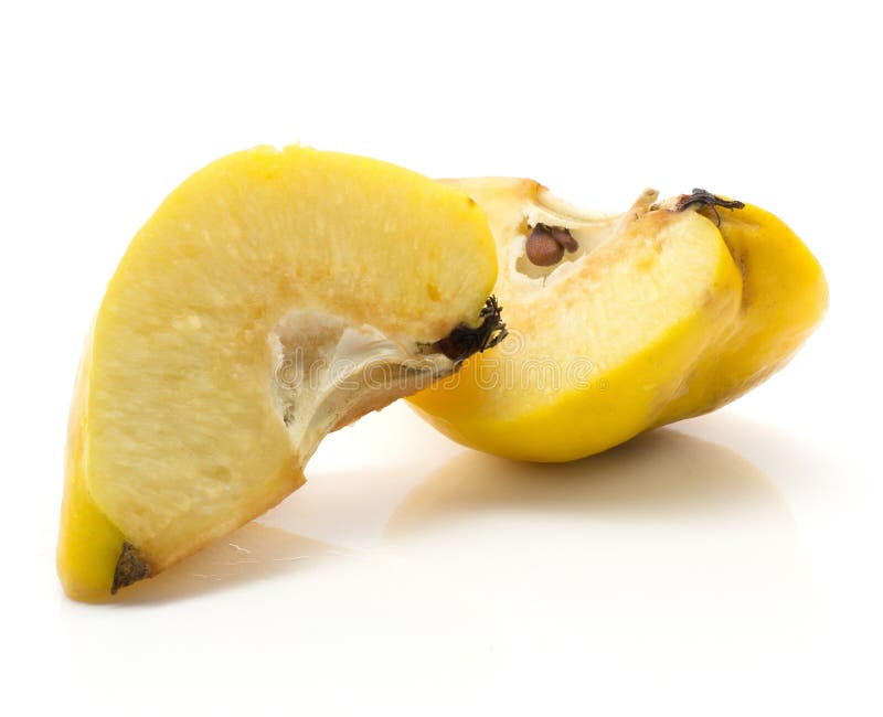 Ny rå kvitten på vit royaltyfria bilder