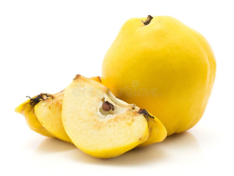 Ny rå kvitten på vit royaltyfri foto