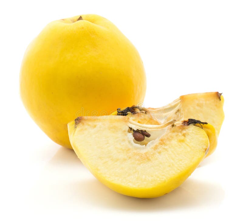 Ny rå kvitten på vit royaltyfri foto