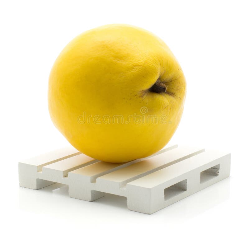 Ny rå kvitten som isoleras på vit royaltyfria foton