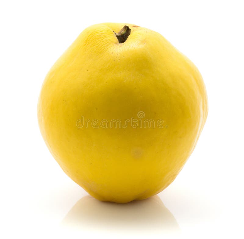 Ny rå kvitten som isoleras på vit royaltyfria bilder