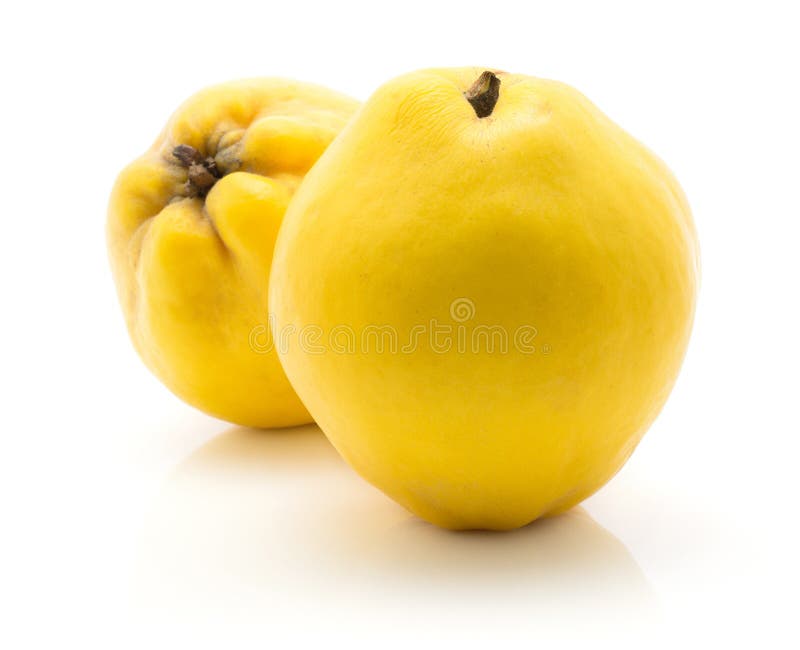 Färsk rå quince isolerad på vit bakgrund royaltyfri foto