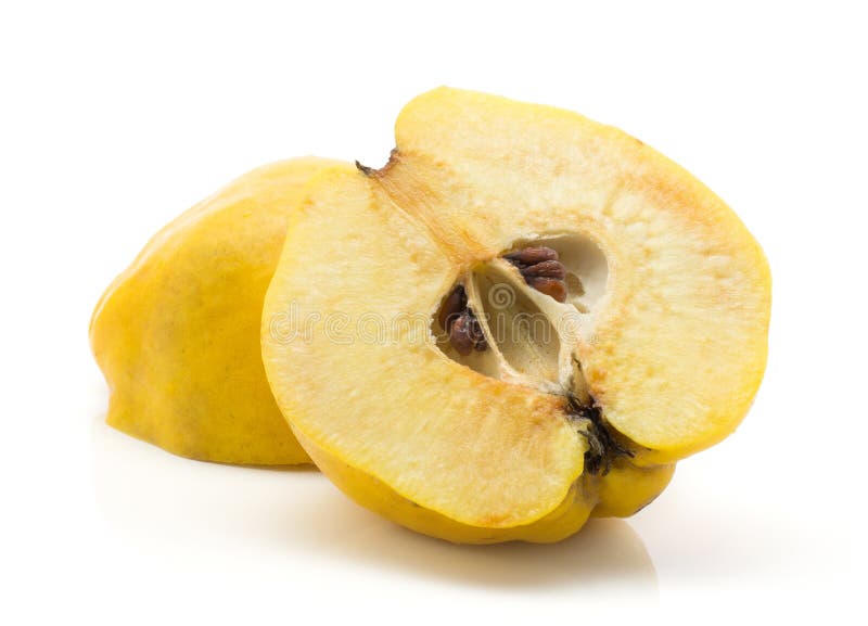 Ny rå kvitten som isoleras på vit fotografering för bildbyråer