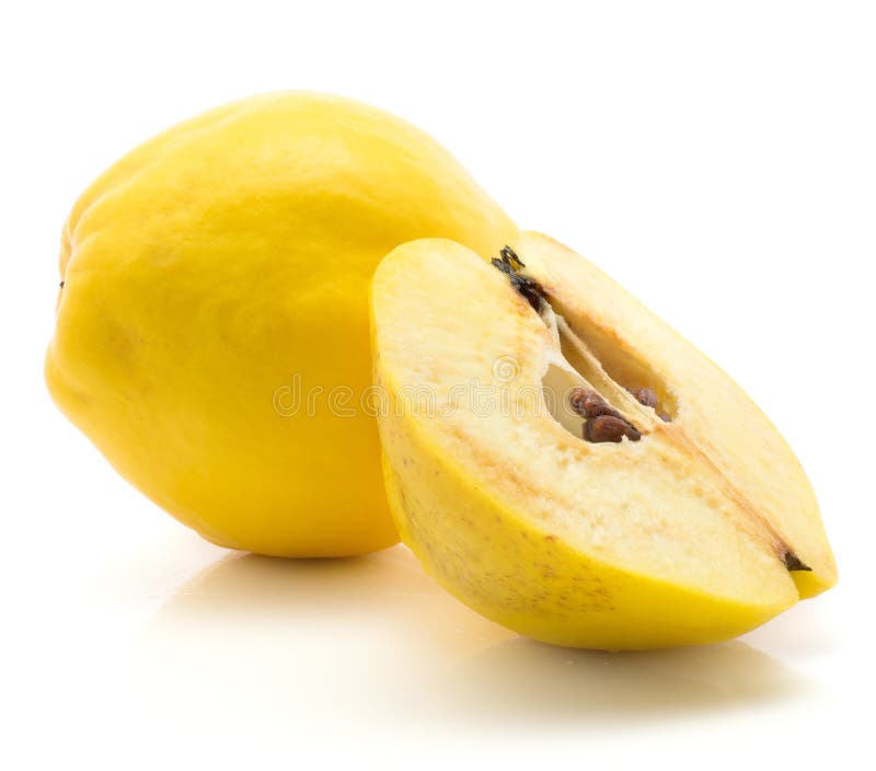 Ny rå kvitten som isoleras på vit royaltyfria foton