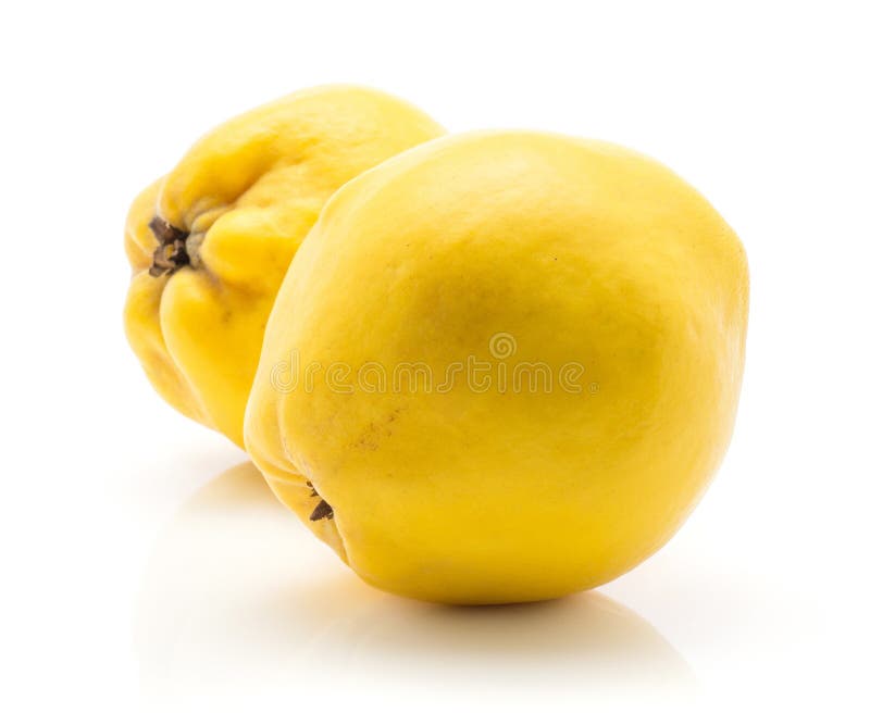 Färsk rå quince isolerad på vit bakgrund royaltyfria bilder