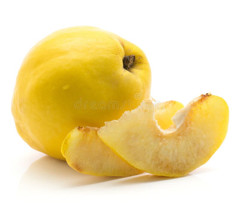 Ny rå kvitten som isoleras på vit arkivbild