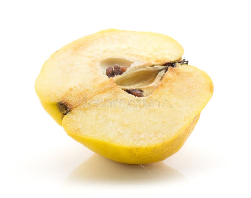 Ny rå kvitten som isoleras på vit arkivbilder