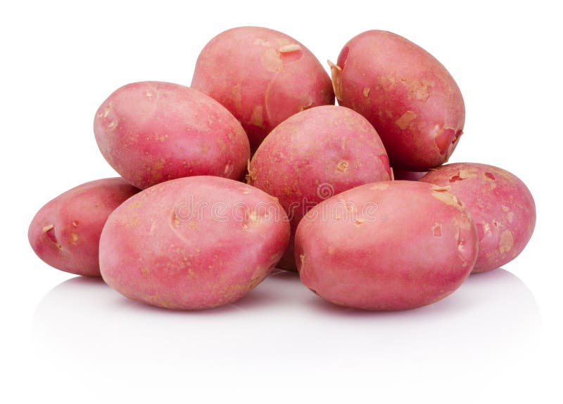 Ny röd potatis som isoleras på vit bakgrund