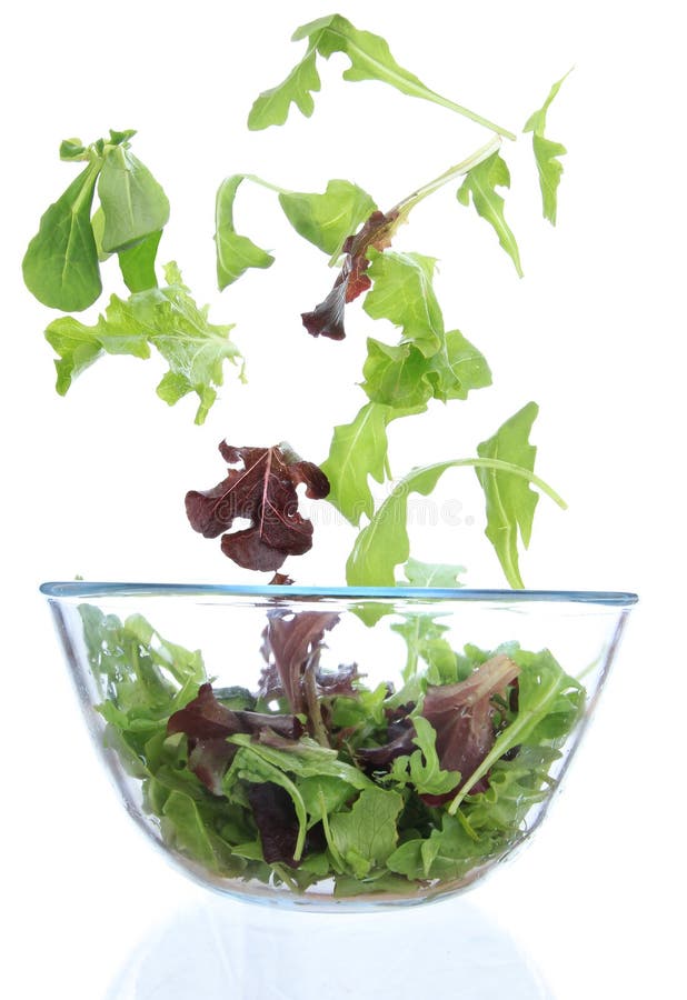 Download Ny sallad fotografering för bildbyråer. Bild av leaf - 19790739