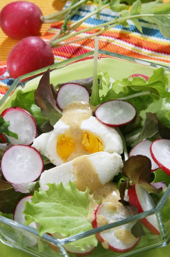 Fräsch sommarsallad royaltyfria bilder