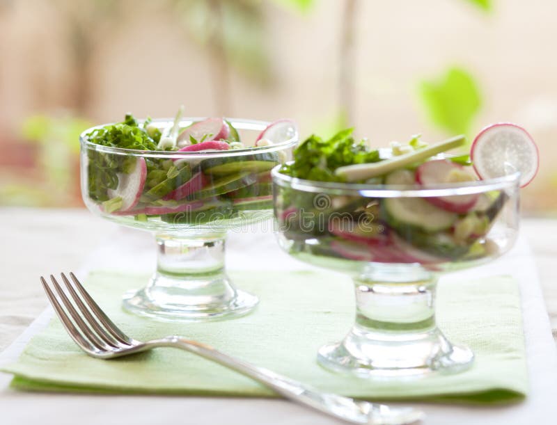 Fräsch sommarsallad royaltyfri foto