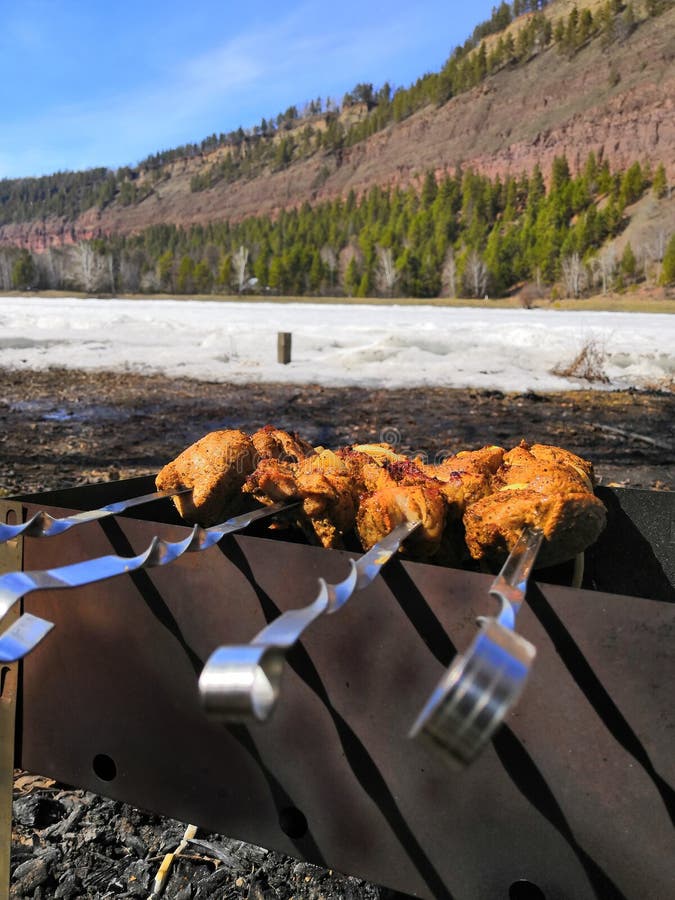 Ny smaklig grillfest med köttkebab i fyrpanna utomhus royaltyfri fotografi Ny smaklig grillfest med köttkebab i fyrpanna utomhus royaltyfri fotografi