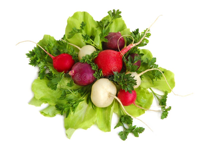 Fresh tasty greens and color radish isolated on white background. Fresh tasty greens and color radish isolated on white background