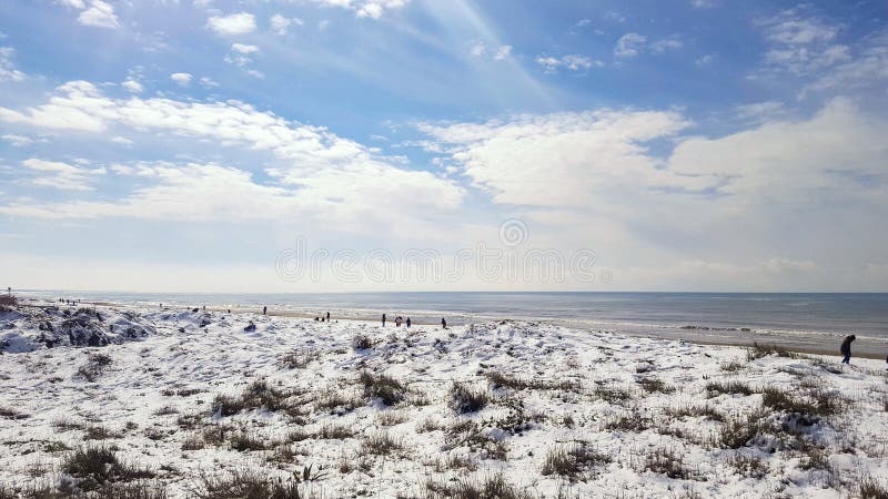 Ny snö på den guld- stranden royaltyfria foton Ny snö på den guld- stranden royaltyfria foton