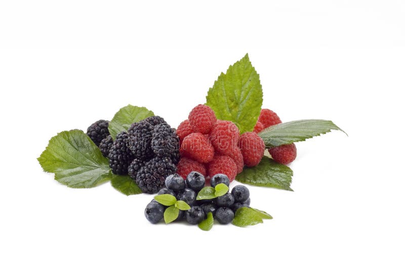 Färska sommarbär arkivbilder