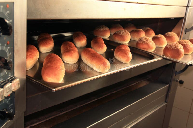 Photograph of breads fresh from oven. Photograph of breads fresh from oven