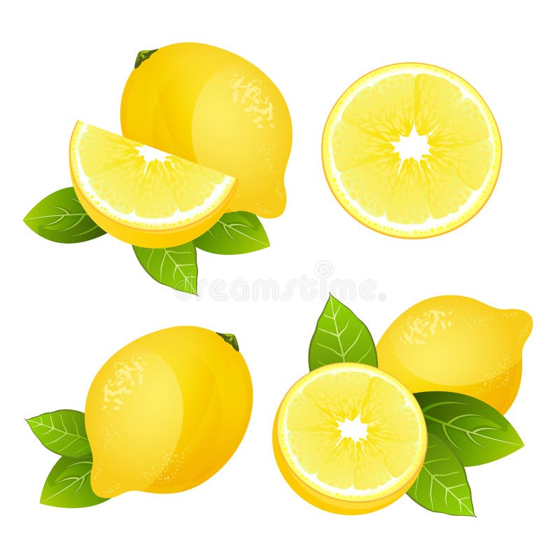 Ny uppsättning för citronfruktskiva Samling av den realistiska saftiga citruns med sidavektorillustrationen stock illustrationer