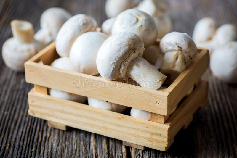 Fresh white button mushrooms on wooden background. Fresh white button mushrooms on wooden background