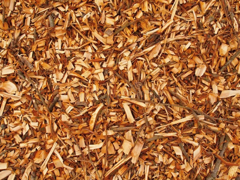 Ny våt wood chip från alträdet, textur fotografering för bildbyråer Ny våt wood chip från alträdet, textur fotografering för bildbyråer