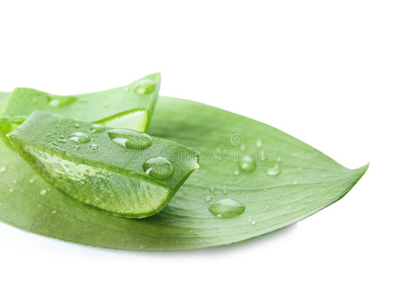 Nya aloevera skivor arkivfoton Nya aloevera skivor arkivfoton