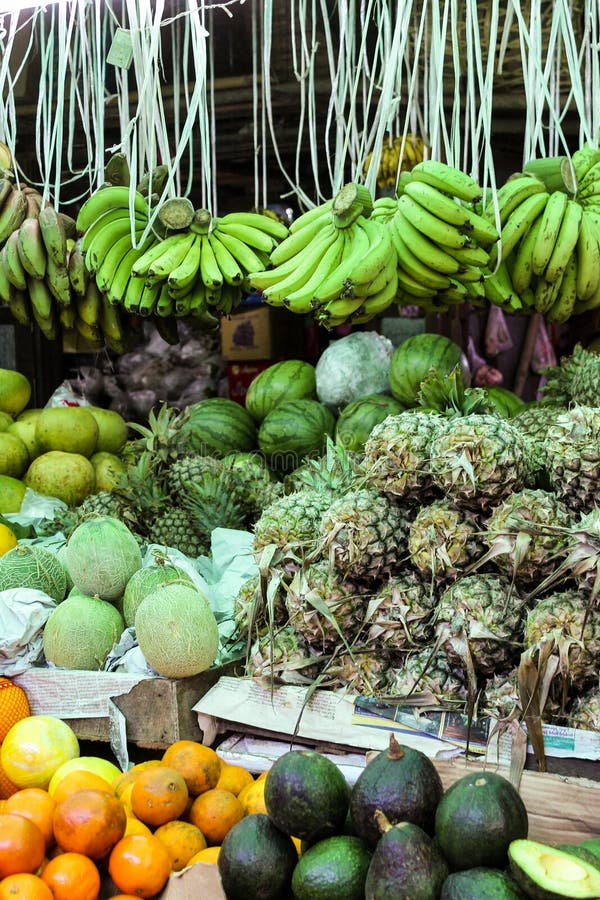 Nya bananer, ananors och andra exotiska frukter royaltyfri fotografi Nya bananer, ananors och andra exotiska frukter royaltyfri fotografi