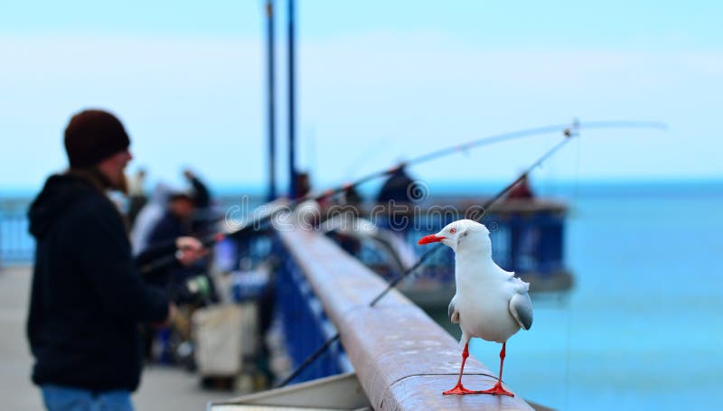 Nya Brighton Pier Christchurch - Nya Zeeland arkivbild