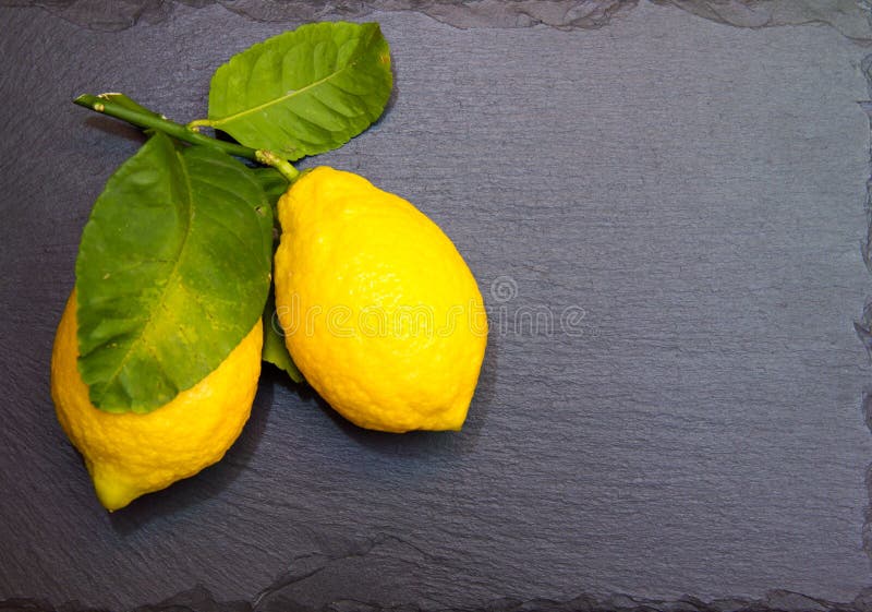 Fresh lemons with leaves on slate top. Fresh lemons with leaves on slate top