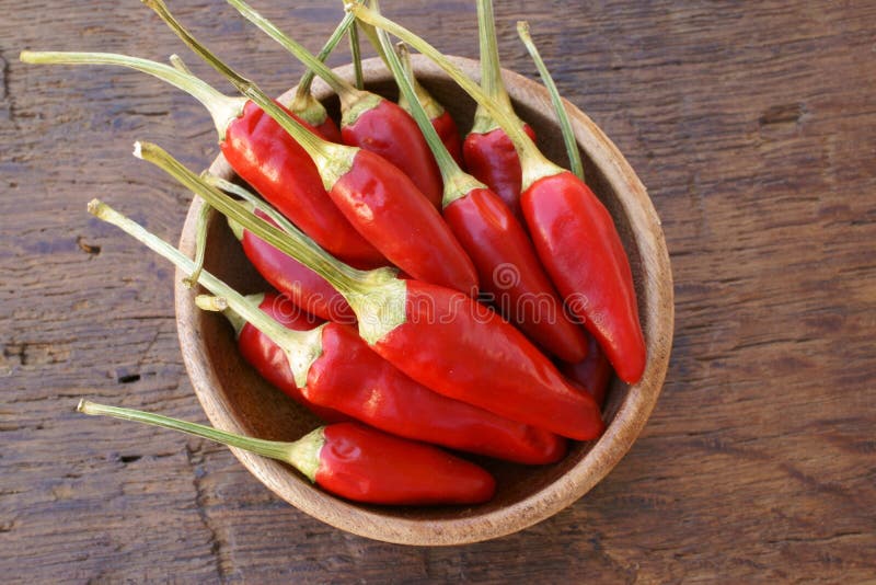 Nya fröskidor för chilipeppar royaltyfri bild Nya fröskidor för chilipeppar royaltyfri bild
