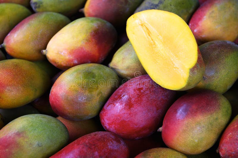 Nya färgrika mango på den utomhus- fruktmarknaden fotografering för bildbyråer