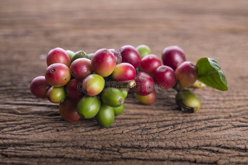 Nya kaffebönor med bladet på träbakgrund fotografering för bildbyråer Nya kaffebönor med bladet på träbakgrund fotografering för bildbyråer