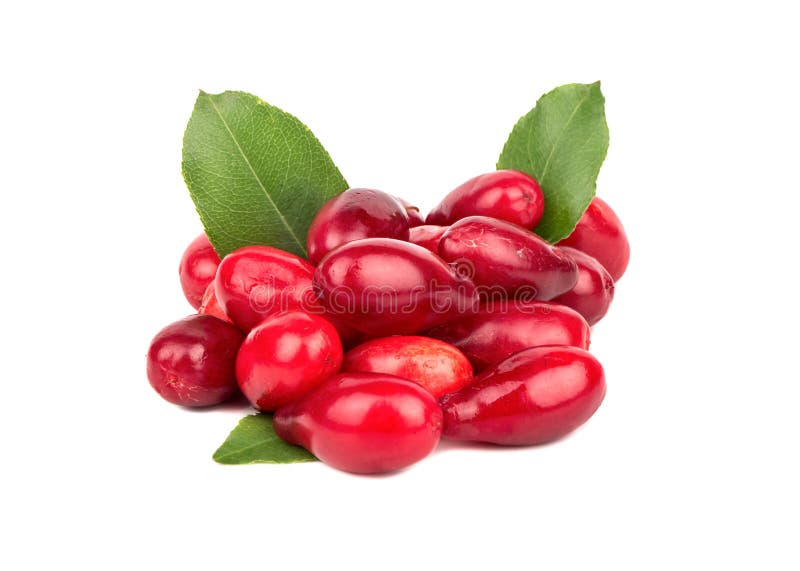 Nya karneolkörsbär arkivfoto Nya karneolkörsbär arkivfoto