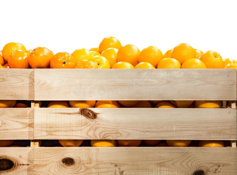 Nya och mogna orange frukter arkivbilder