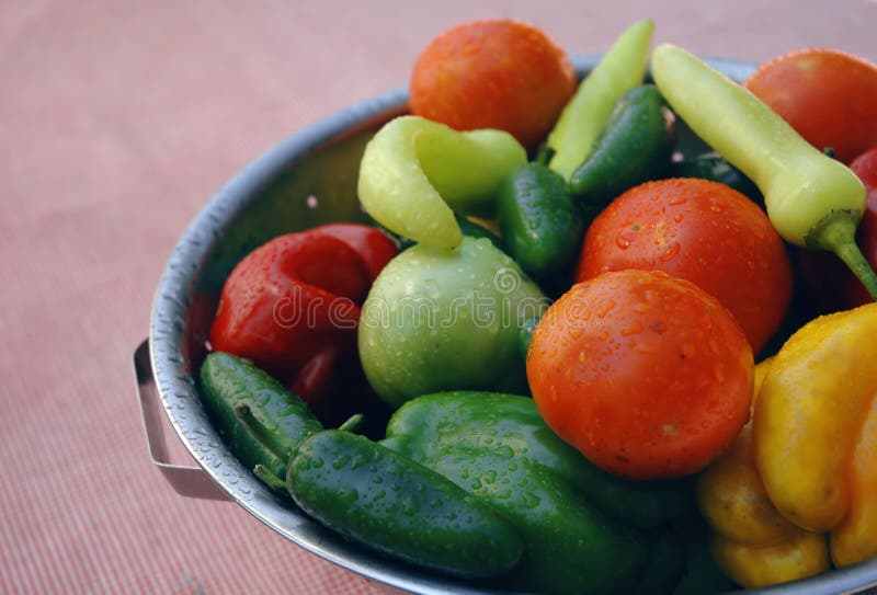 Färska ekologiska grönsaker royaltyfria bilder