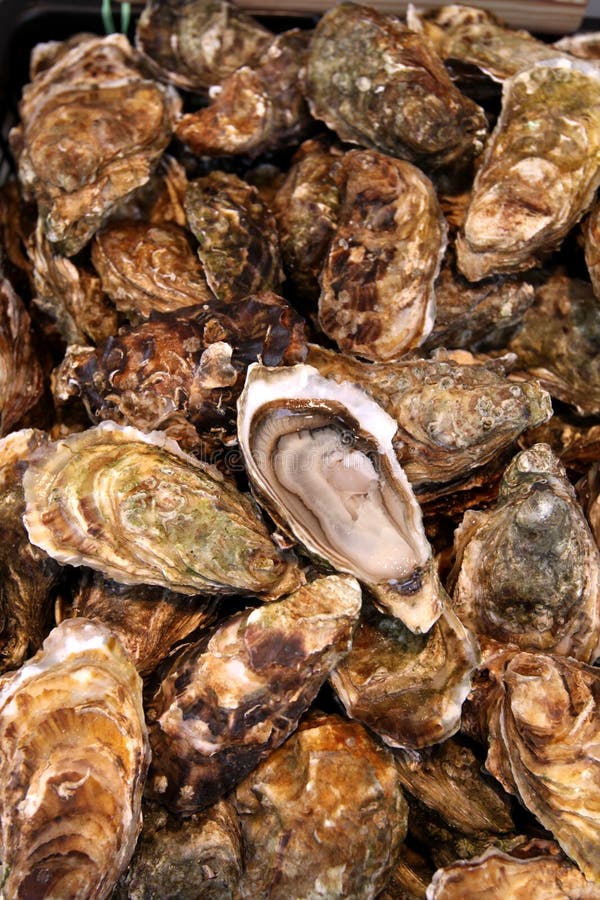 Fresh raw oysters on street market. La Rochelle. France. Fresh raw oysters on street market. La Rochelle. France