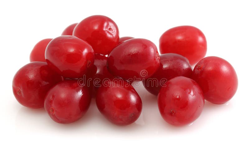 Nya tranb?r som isoleras p? vit royaltyfri fotografi Nya tranb?r som isoleras p? vit royaltyfri fotografi