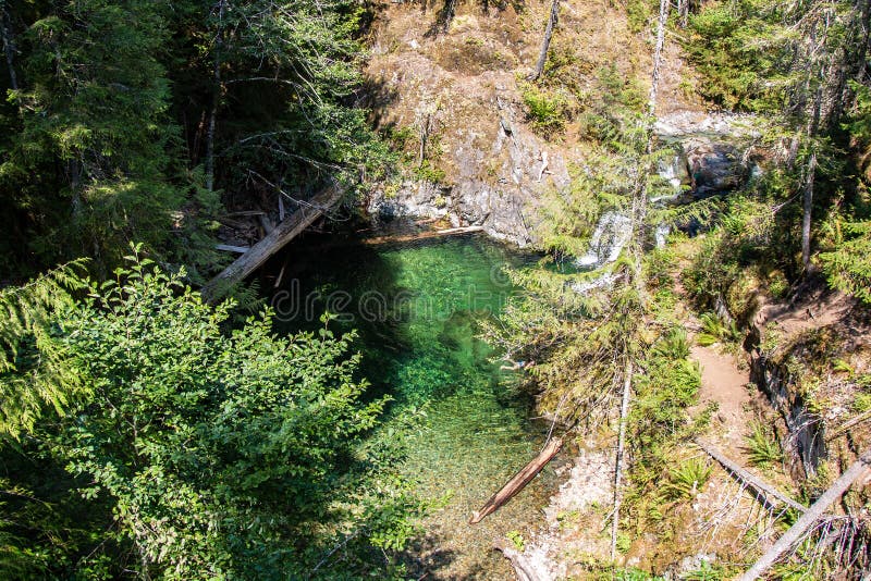 Nya vatten från Opal creek samlas i en liten pool royaltyfri foto