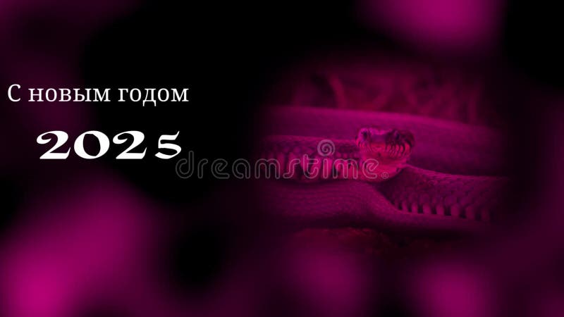 Nya år. ormsymbol 2025. Lyckligt nytt år 2025. dynamisk video på en rosa bakgrund royaltyfri illustrationer