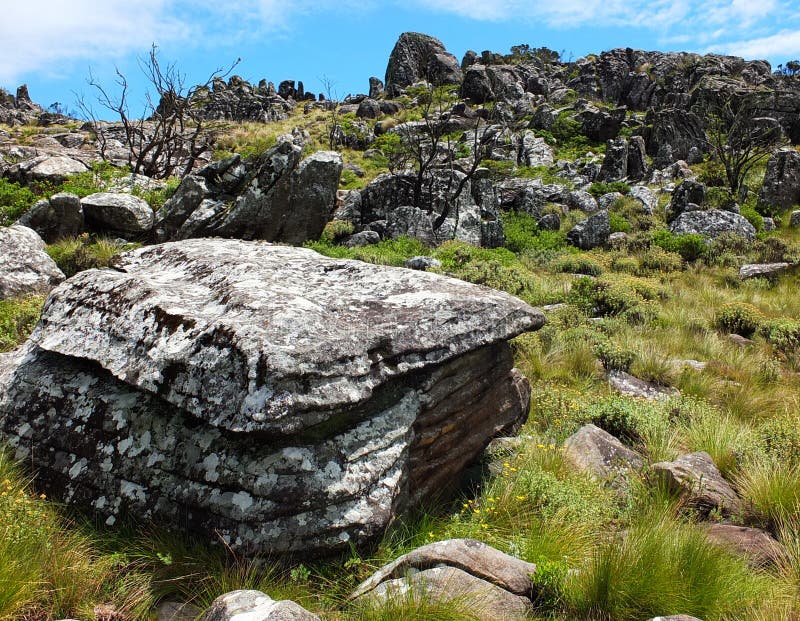 Nyanga berg royaltyfri fotografi