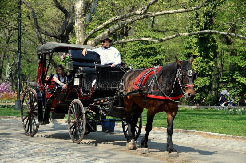 NYC: Horse Carriage in Central Park