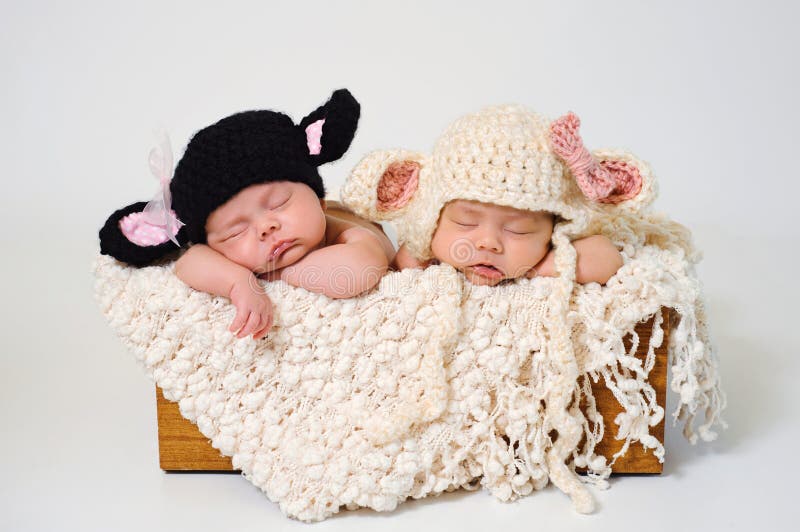 Sleeping fraternal twin newborn baby girls wearing crocheted black lamb and white lamb hats. Sleeping fraternal twin newborn baby girls wearing crocheted black lamb and white lamb hats.