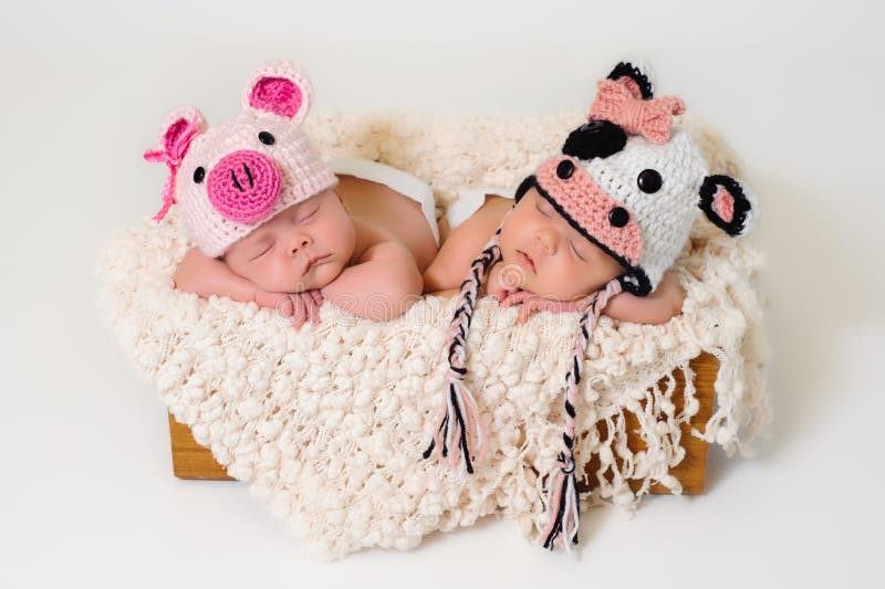 Sleeping fraternal twin newborn baby girls wearing crocheted pig and cow hats. Sleeping fraternal twin newborn baby girls wearing crocheted pig and cow hats.