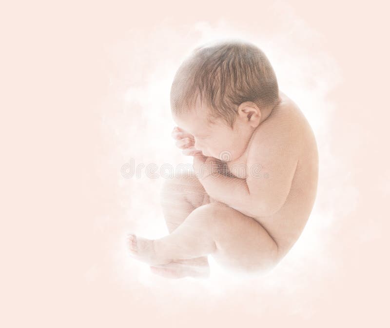 Nyfött behandla som ett barn, den nyfödda ungen i det nionde månadembryot, mänskligt foster, U