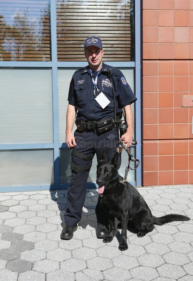 NYPD biura K-9 przelotowy funkcjonariusz policji K-9 Taylor providing ochronę przy Krajowym tenisa centrum podczas us open i Niemi zdjęcie royalty free NYPD biura K-9 przelotowy funkcjonariusz policji K-9 Taylor providing ochronę przy Krajowym tenisa centrum podczas us open i Niemi zdjęcie royalty free
