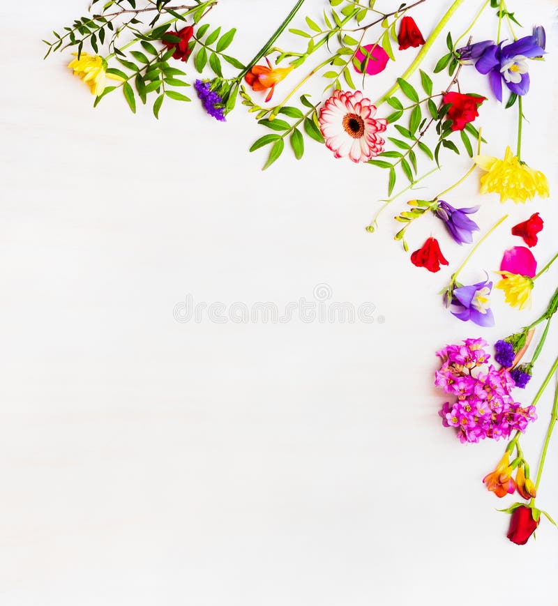 Nytt färgrikt vårblommor, gräns och ställe för text royaltyfri bild